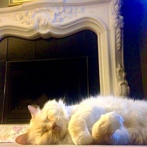 Meet your Posher, Braceleterie